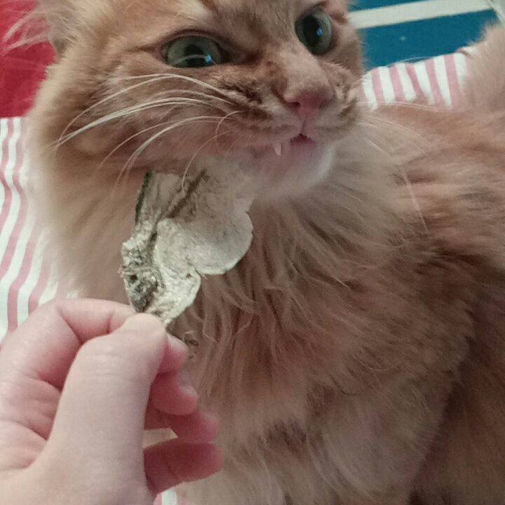 2b966f67 8dcb 4588 b689 7644df07edd0