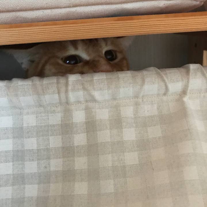 2b96b830 5344 4cf2 a4a2 9bfcc2ea14b5