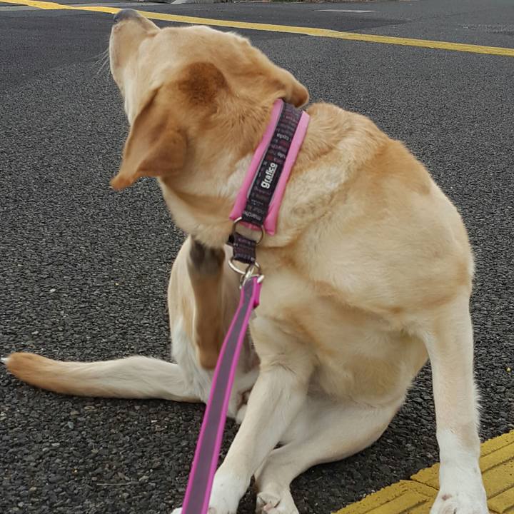 2b96baef d86a 4083 a8fb ce9f1ab04ed4