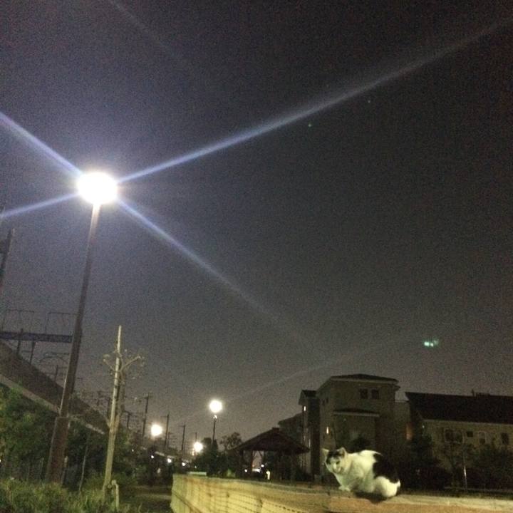 2b96d26f 10ae 47e4 9278 d4e5fff64e0a