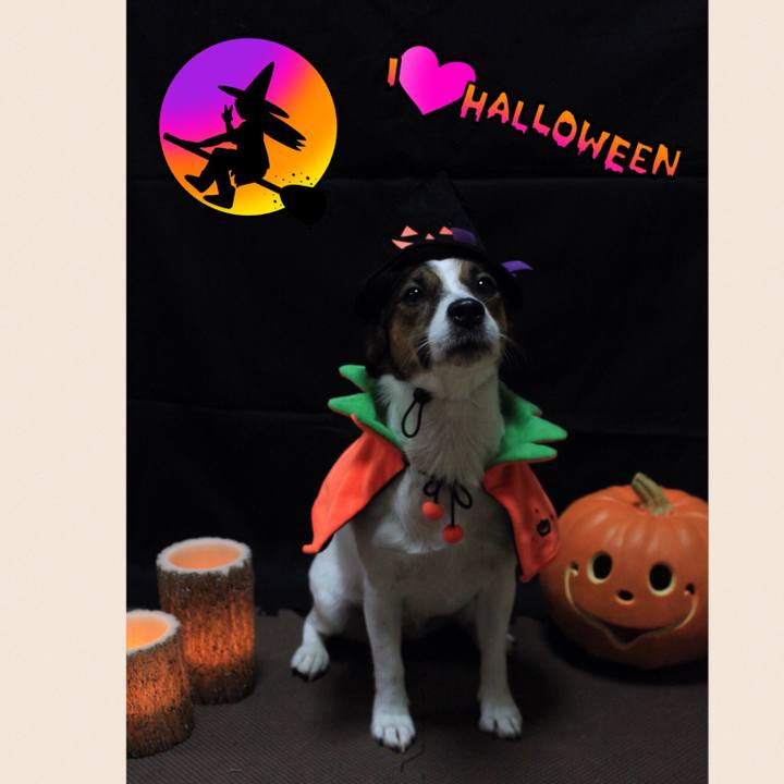 2b975d48 3387 4df3 9d28 d7b87638274b