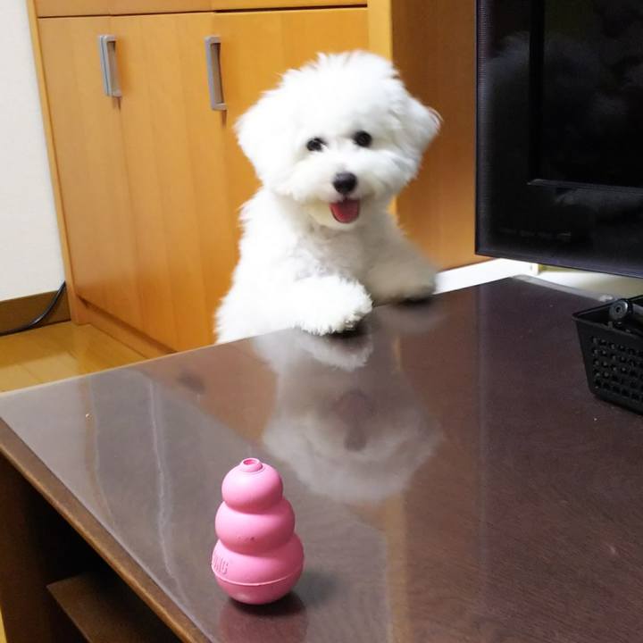 2b97612b 48da 4f07 a6f6 0b865dcb7a46