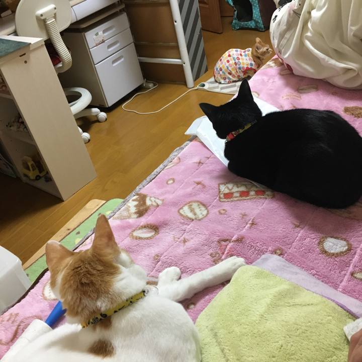 2b9796b7 fc80 4dfc a91d 1d8f055a8682