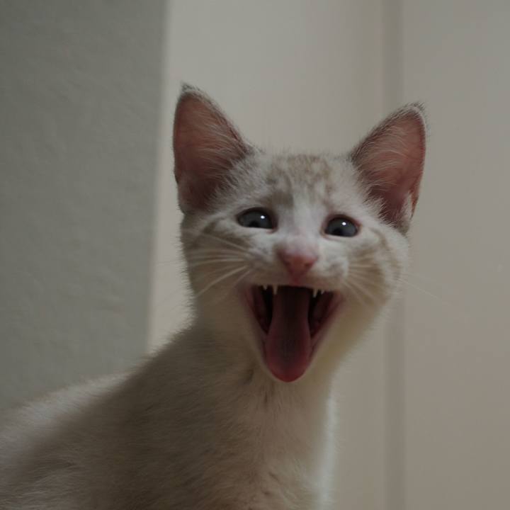 2b98df5c 683c 45ea a5a1 30ba26fe5a22