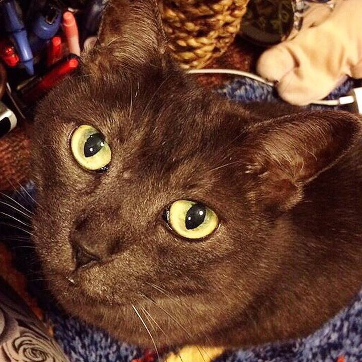 2b998c8a c6f6 41bd 836b 6a348590c459