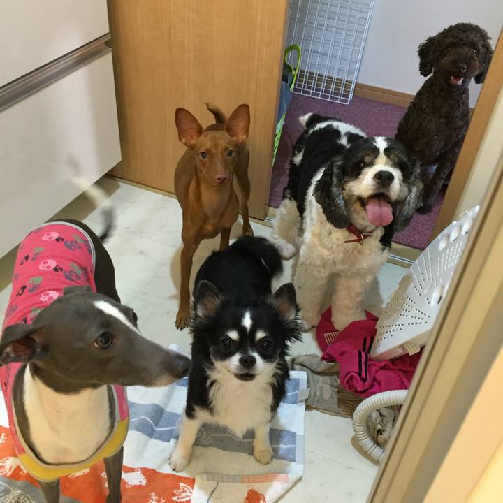 2b99bc82 77d3 46e1 a29a 7801af5a0d8c