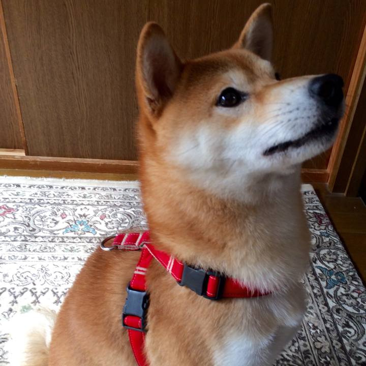 2b9a09e7 967c 4b3f 897d f64911595dbe