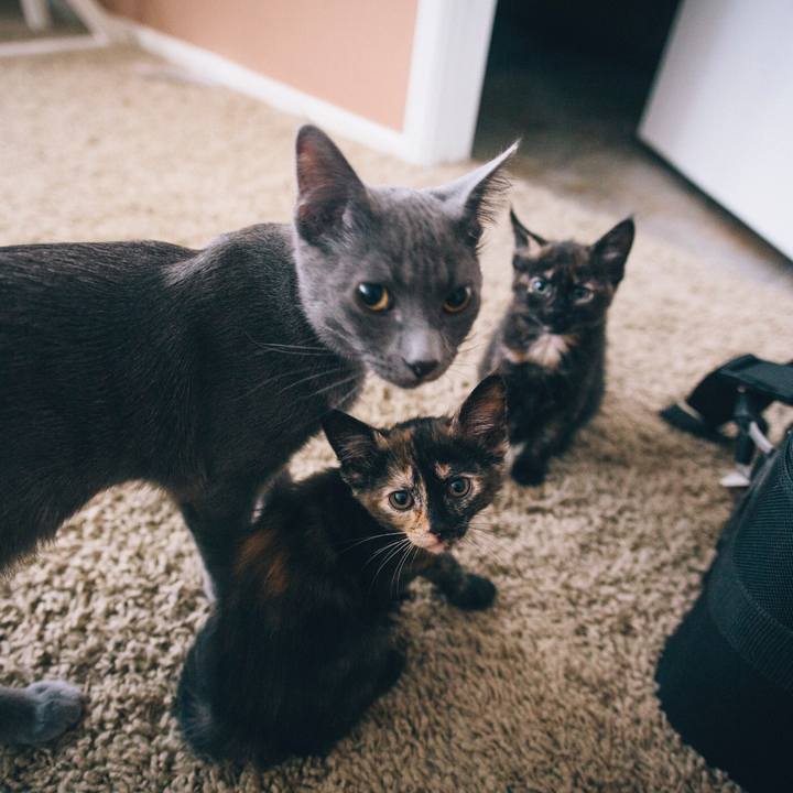 2b9a6ca7 5407 4cb9 afa9 cc78ab8fa83b