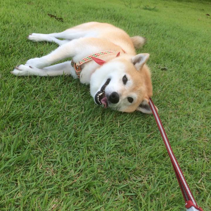 2b9ae3f7 1c5d 4986 9891 e2c66aa6d314