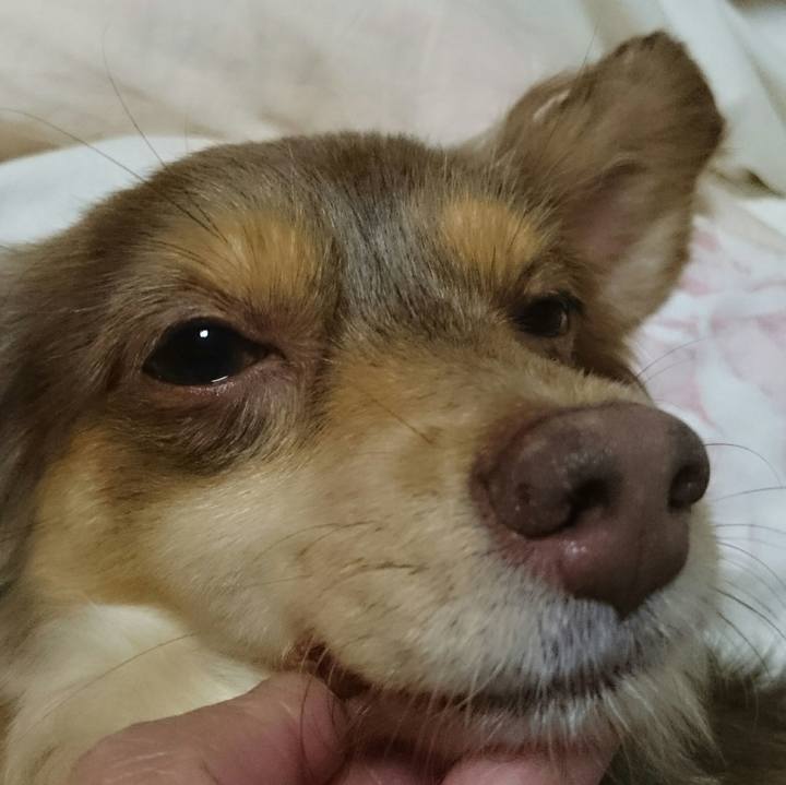 2b9b3dd1 6d70 4b2c 9945 c135ac194fb6