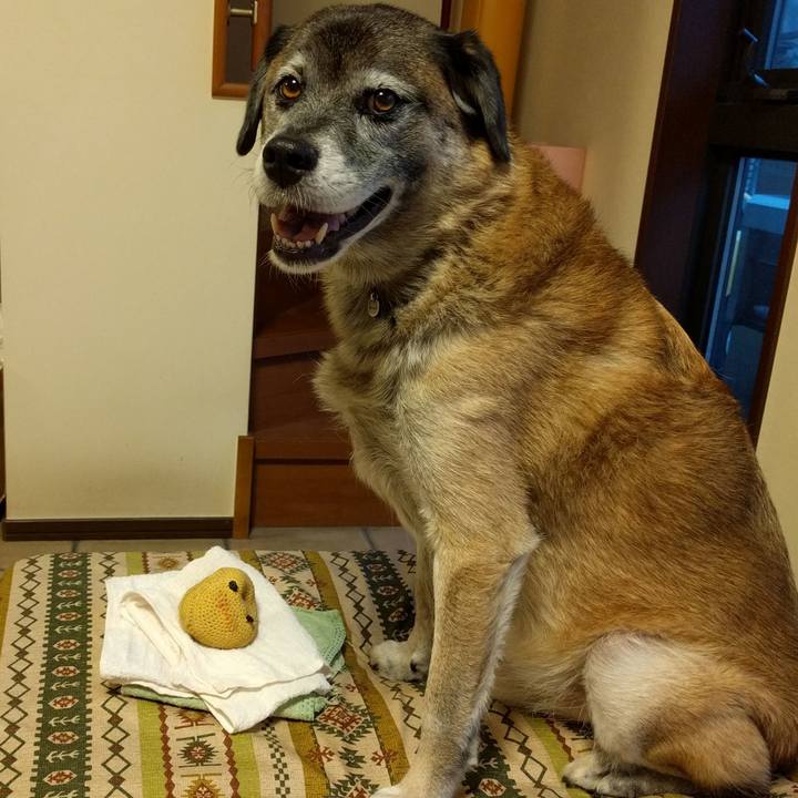 2b9b8c9b c981 4805 9ea6 caa198b7b88b