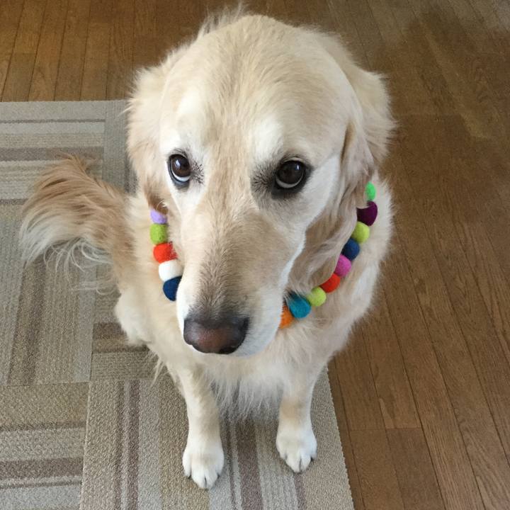 2b9badd8 9de3 4a4e bd47 320fa6165619