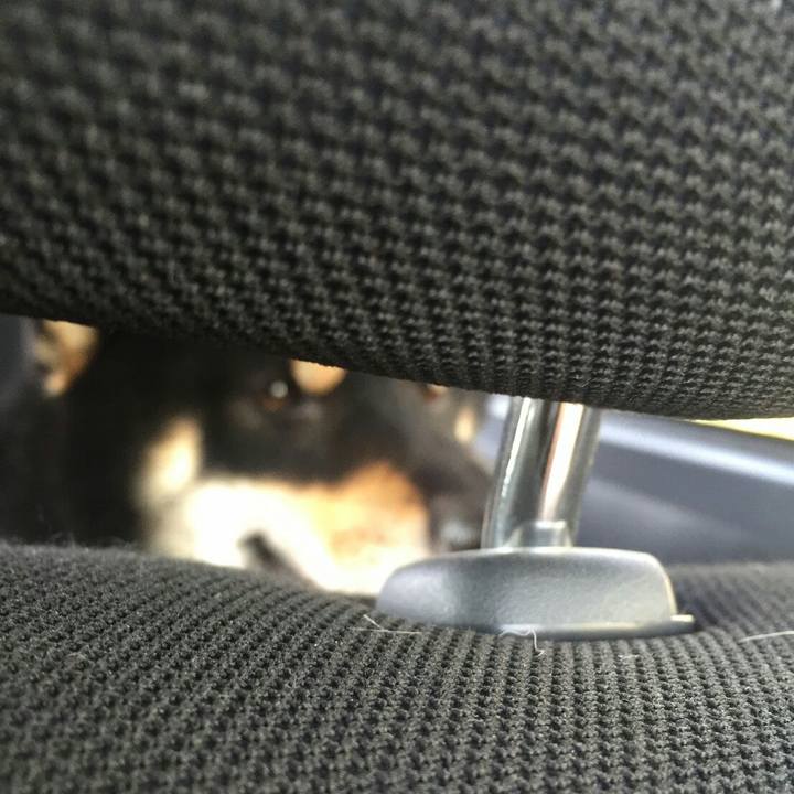 2b9bb5b6 131f 4fa7 8741 7519e585df5e