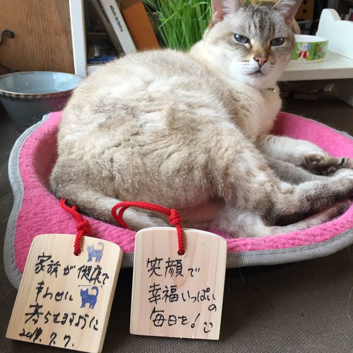 2b9bee68 07d8 4682 a7f3 86fc7b1418db