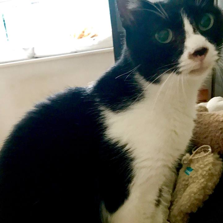 2b9c4b36 4d7b 4dec 98ba 3580bfd309c3