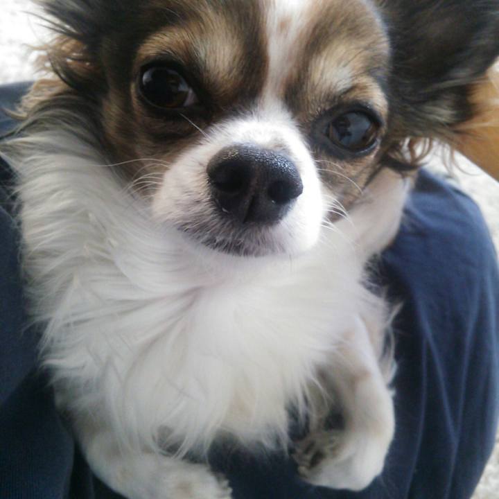 2b9d9b3a e57e 4a28 86ba e3dcbfa000b7