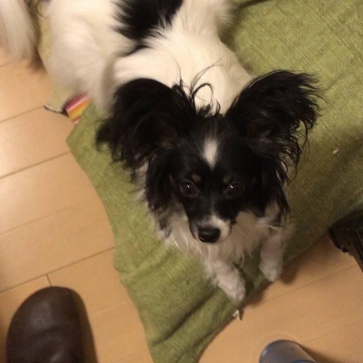 2b9dc73c 7d45 4f69 881d 39c876a26ff4