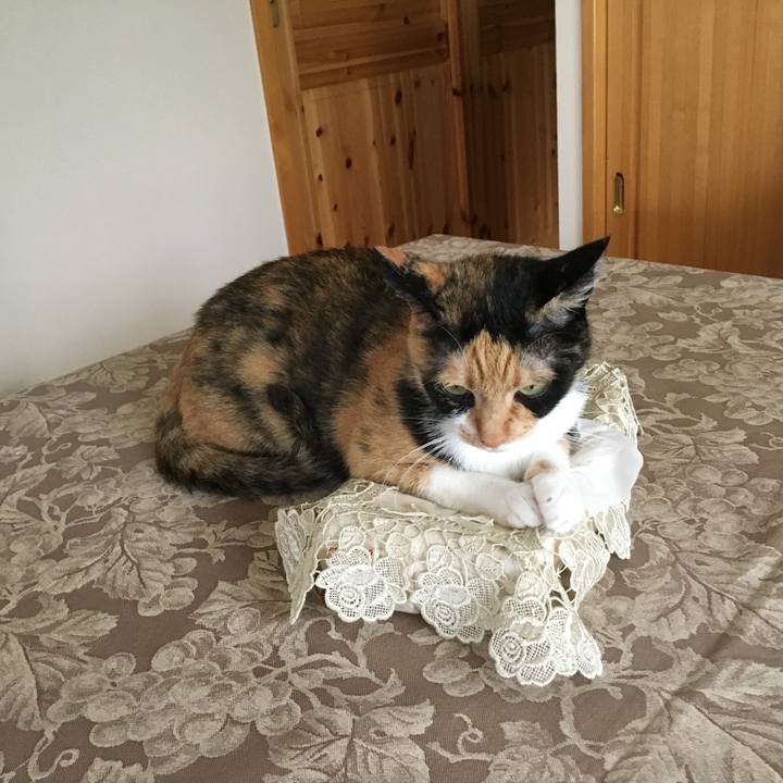 2b9dd3d4 7790 4d01 a9c7 bdd59171fe52