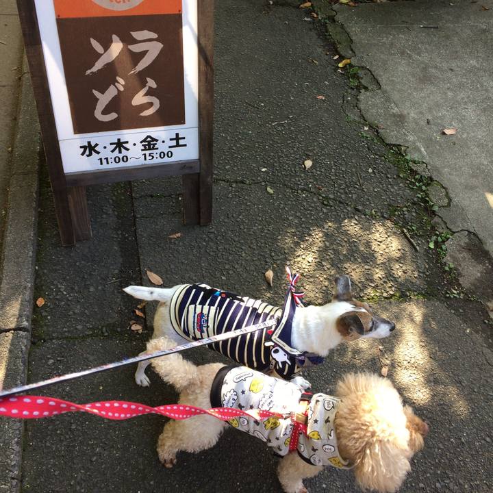 2b9e0500 b73c 42fc 9a70 06fddb0987eb