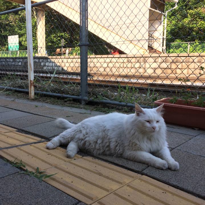 2b9ec382 eb65 41d0 8644 50412a6f2a47