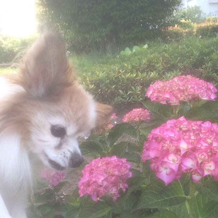 2b9f8c57 4f1c 4709 aa74 3d3a6722fcf1