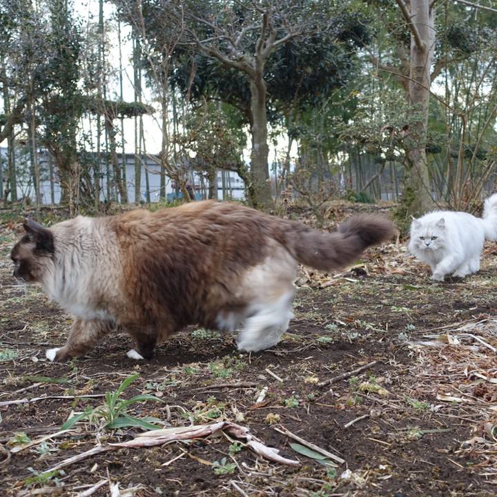 2b9fc092 f8d4 4e8b ac87 cf449c11ffef