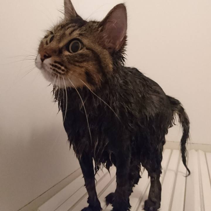 2ba0277d 2ee5 4bf3 a986 9e8111b5b068