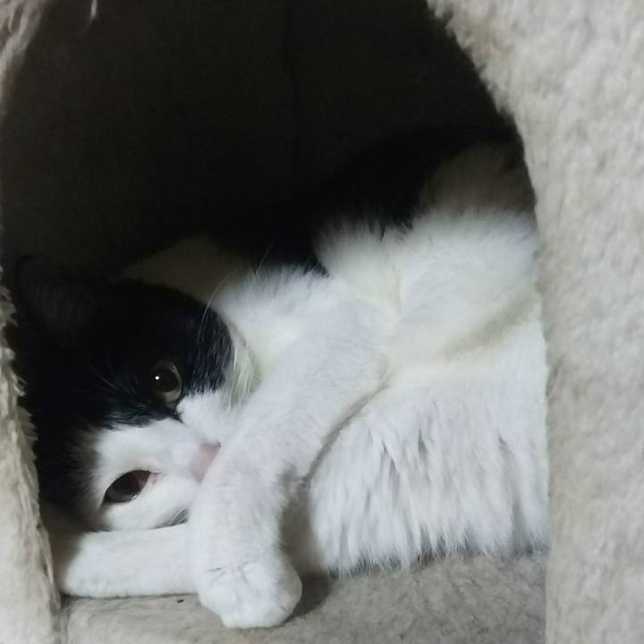 2ba04dc9 686d 41cf bdf6 8e95ae85a4ff