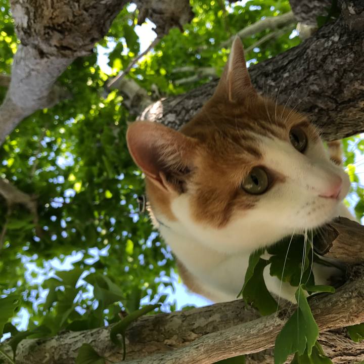 2ba0f3dd b947 4f74 b0c0 46280d363649