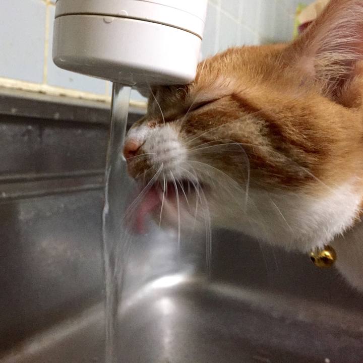 2ba0ffd5 bd77 4b1a ae3e 42dd9849a4ab