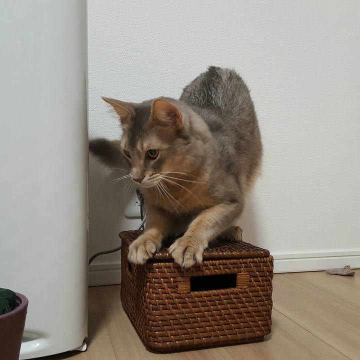 2ba15dff 0c5e 4fe6 9ccf fbb67917f13f