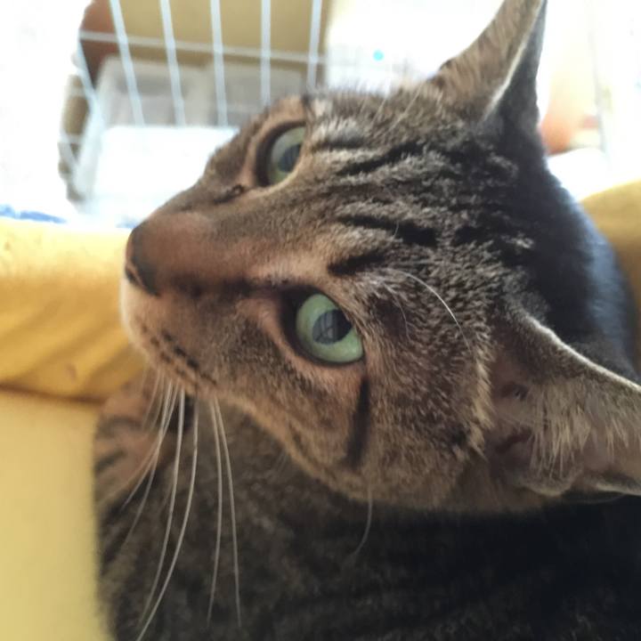 2ba17a3e c2ad 470c 8db9 b0fda04c5220