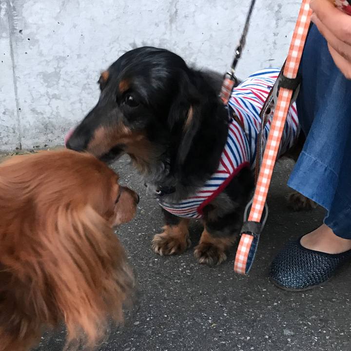 2ba2973f 2ac5 4b3c b559 95ce2de16f56