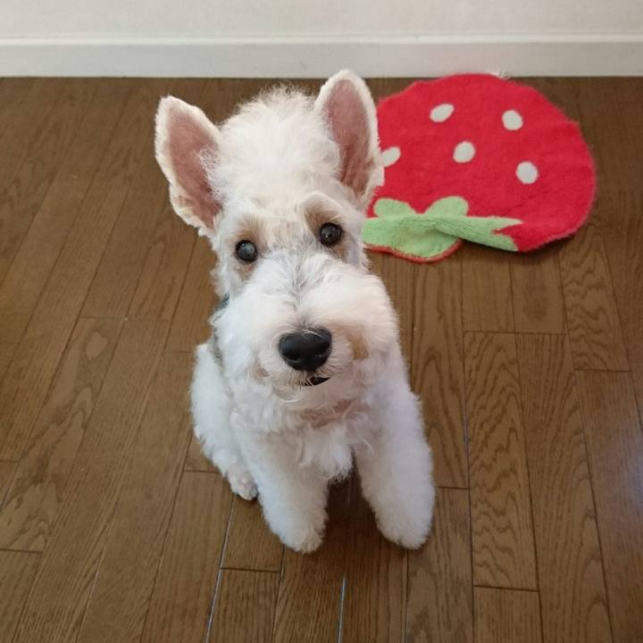 2ba29d5a 3a80 4e36 9ef9 330965fd0a34