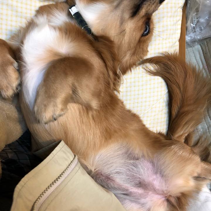 2ba2b0bd 4703 4ae1 8b90 9a6081d6bdb8