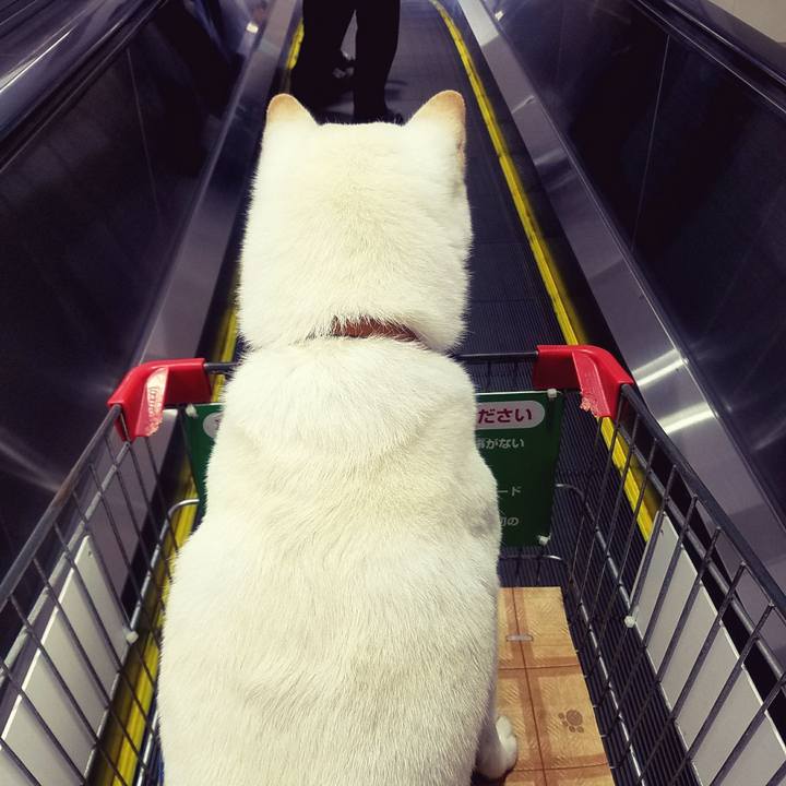 2ba2cad9 f3b0 411a 82c7 ddc537fd3008