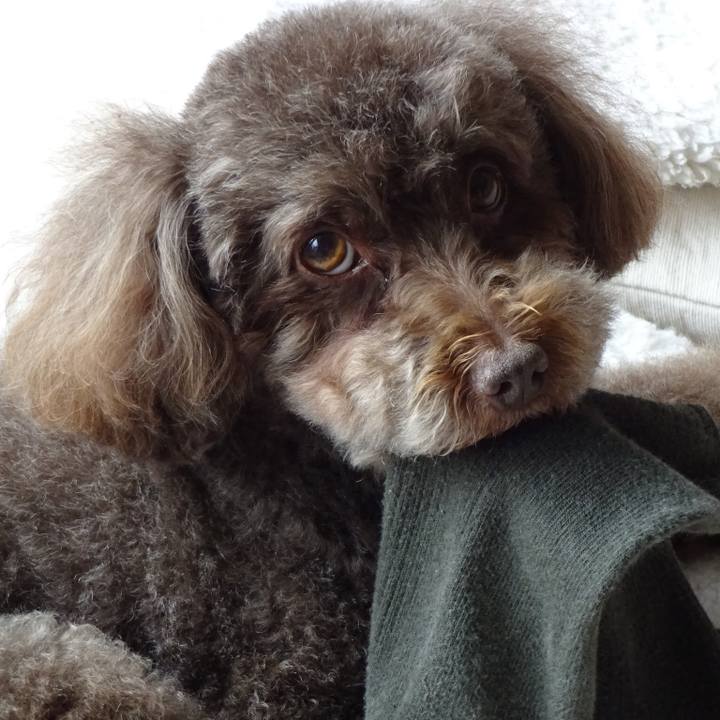 2ba34370 b561 4a1e a2df b04522e04d1d