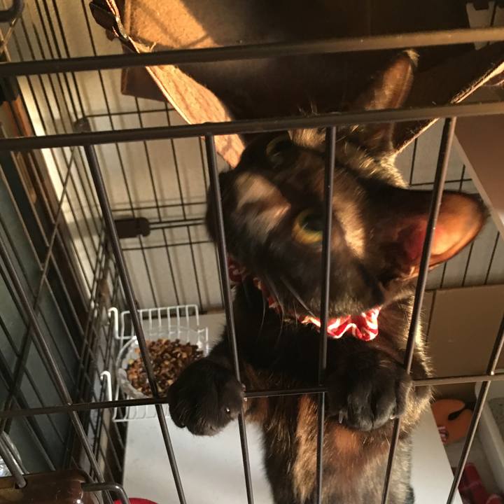 2ba36d24 bf52 4919 9a76 07869ab83bd1