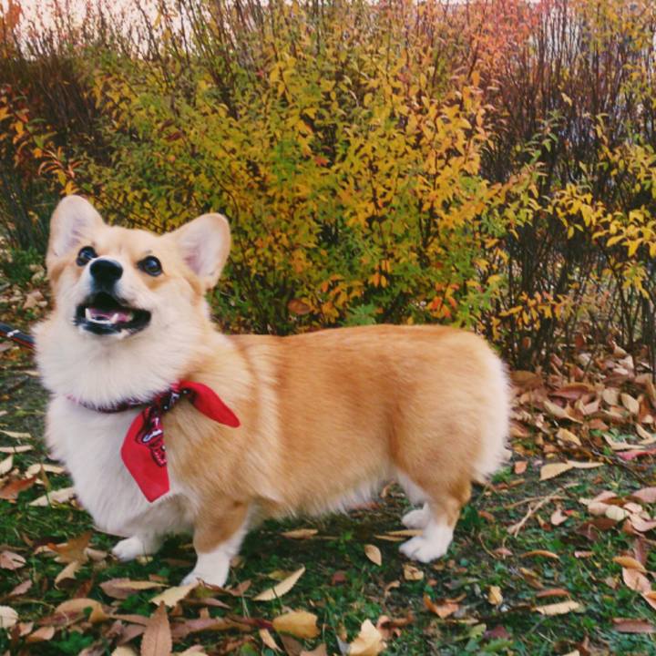 2ba3ac7f efb5 449f b920 27edef31e9c7