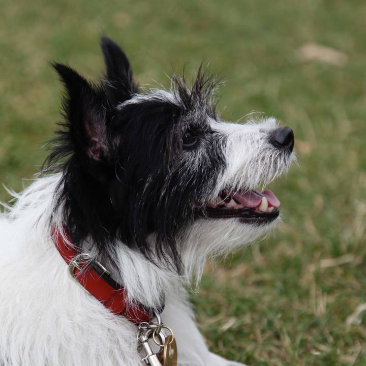 2ba3d555 477d 4307 8033 fa3b020a41e4