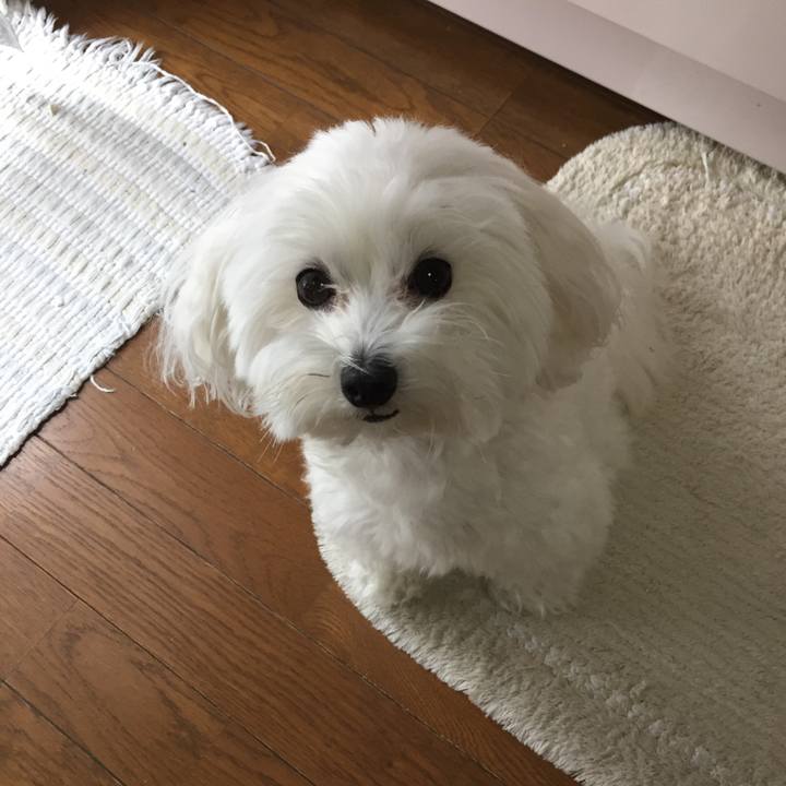 2ba47ab5 45a5 48a7 b8a1 5d071d4c849e