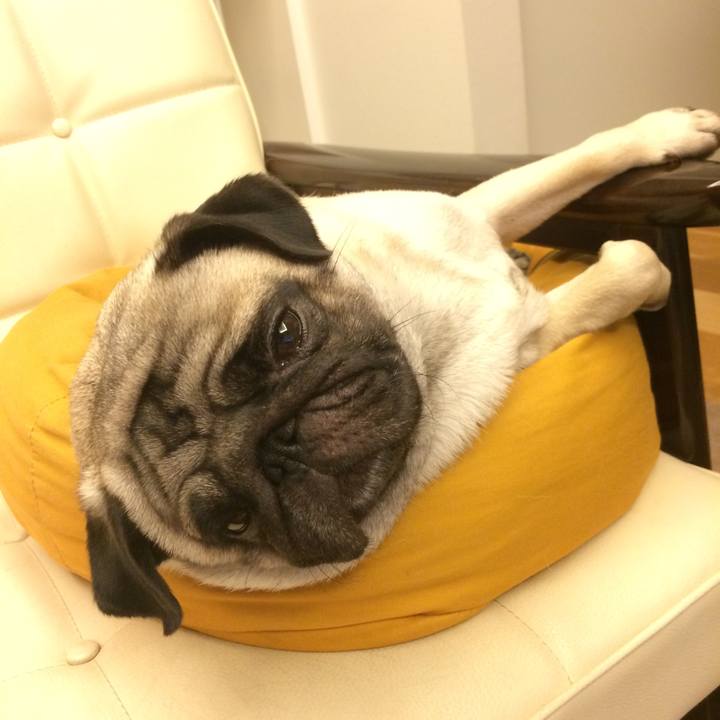 2ba50abb 2c6e 45b7 ab00 3769e4701046