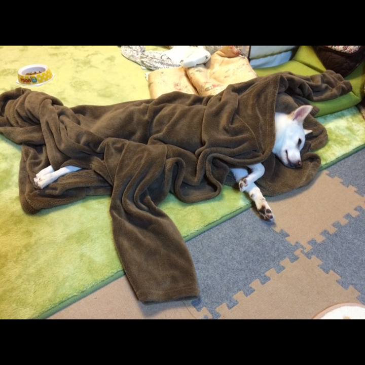 2ba58f9b 76d0 401c 9eaa 69e67b49bfe9