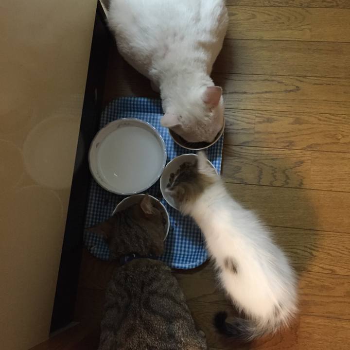 2ba5d03c a3da 44b1 93c1 12fd8d74048c