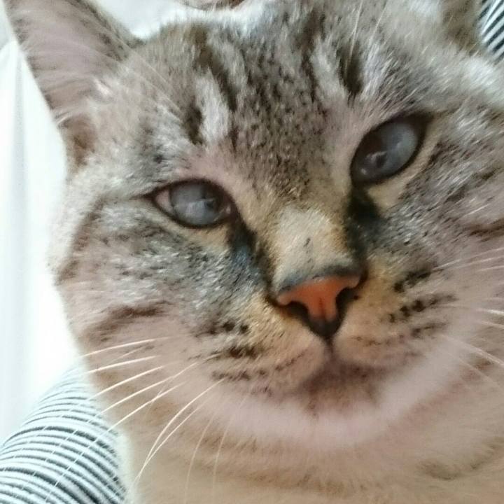 2ba6d0f4 03c6 451b 8ae0 15cd91c3d4df