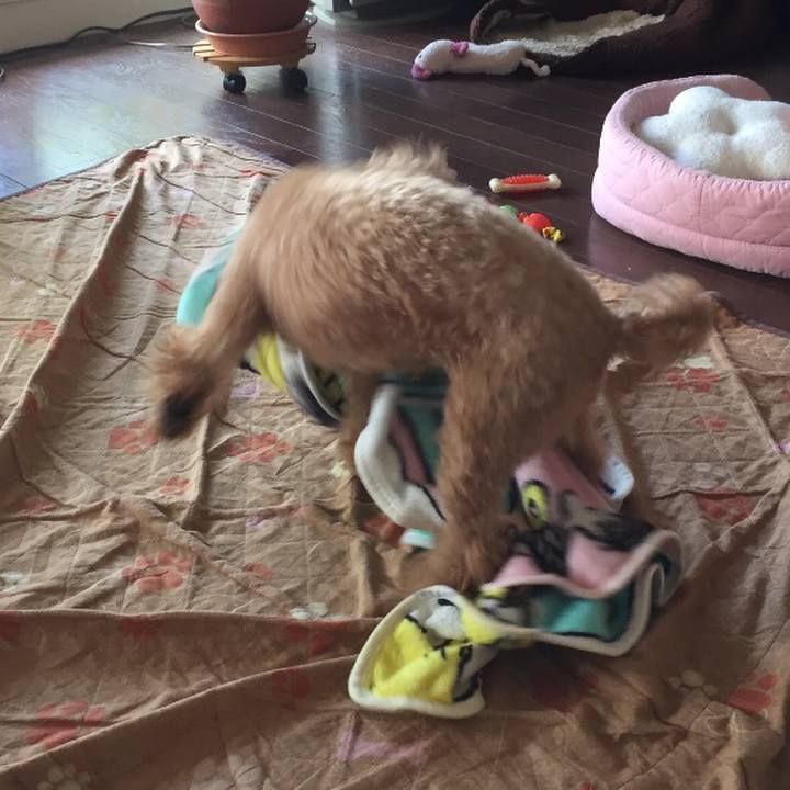 2ba78308 f1be 4c89 a3f9 bd115f4f4d85