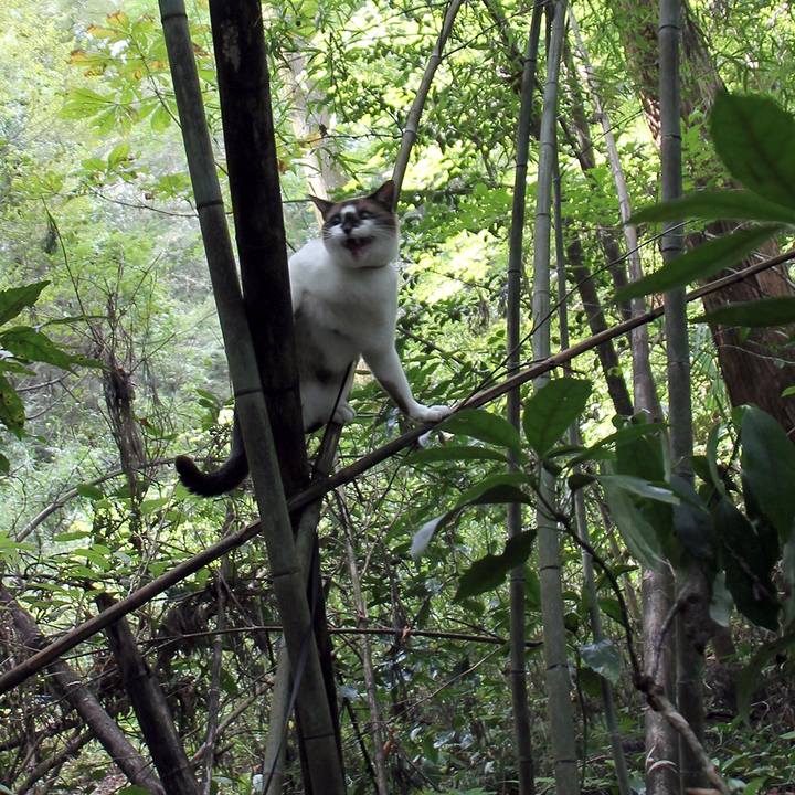 2ba7e6bf b1de 4237 870a 2f9db2f6fad0