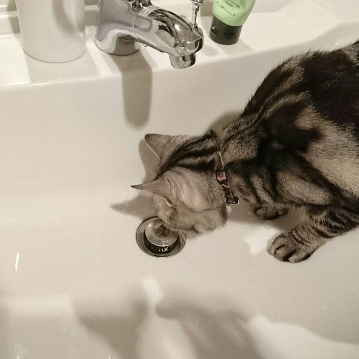 2ba84fcd 2fba 48d1 96c2 e9ee28d69ca1