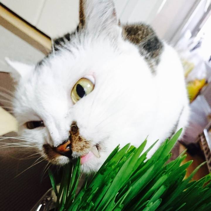 2ba8b5bc abfe 4a49 ac11 ff958894ff2c