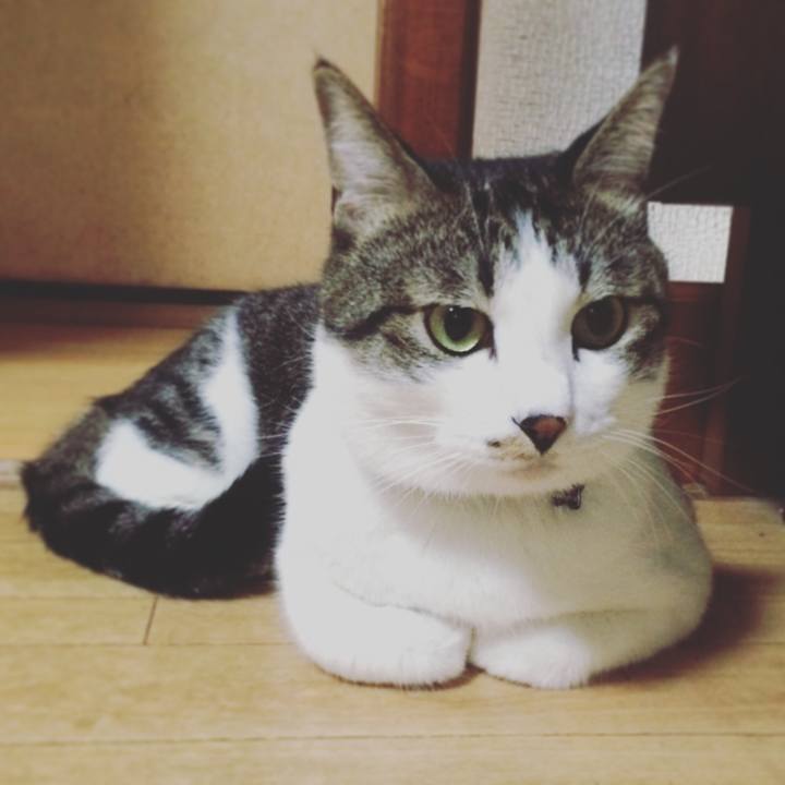 2ba980a0 8730 4013 8340 cc9bd83cc1b2